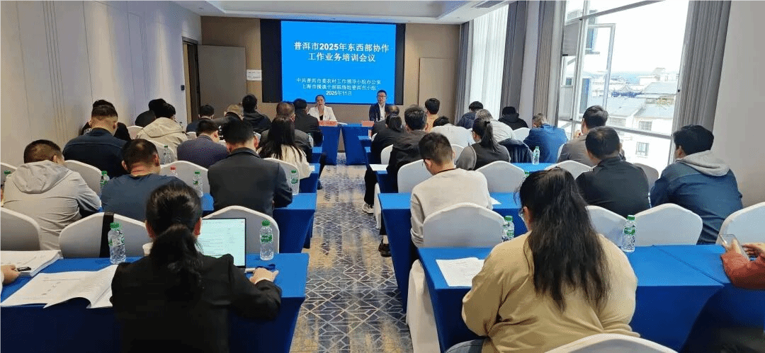 普洱市成功舉辦2025年東西部協(xié)作工作業(yè)務(wù)培訓(xùn)會(huì)